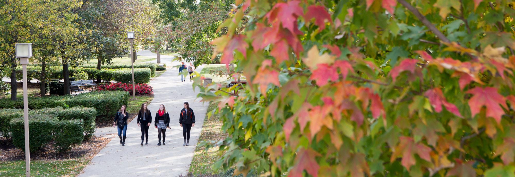 Students walking around campus in the fall. 